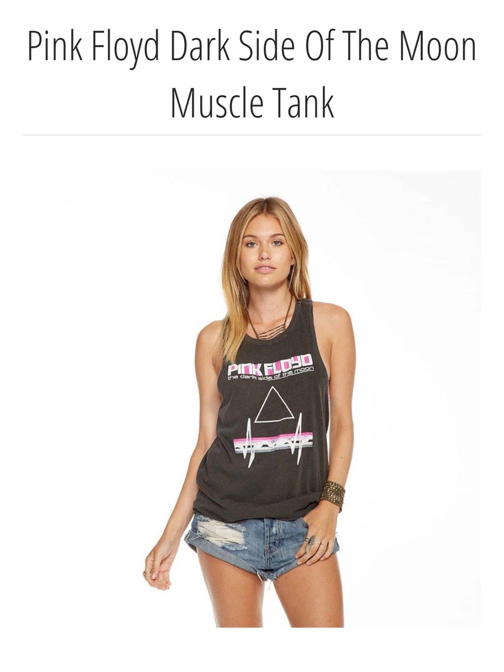 Chaser Pink Floyd Dark Side of the moon tank